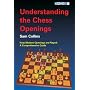 Understanding the Chess Openings