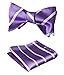 SetSense Men's Stripe Jacquard Woven Self Bow Tie Set