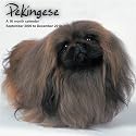 Pekingese 2010 Wall Calendar