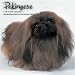 Search : Pekingese 2010 Wall Calendar