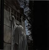 Within The Realm Of The Dying Sun