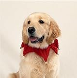 Dog Holiday Scrunchy Collar - Red Glitter Pet Scrunchy Collar w/ Jingle Bells - Fits Necks 10" - 26"