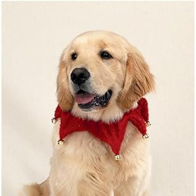 Dog Holiday Scrunchy Collar - Red Glitter Pet Scrunchy Collar w Jingle Bells - Fits Necks 10 - 26 by Casual Canine