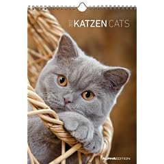 Katzen 2012. Kalender 23,7 x 34 cm mit Ringbindung
