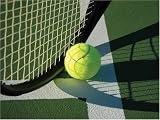 Mural Jammer Tennis Mega Mural Wall Hanging (6 x 4 Feet) Mural Jammer Tennis Mega Mural Wall Hanging (6 x 4-Feet)