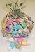 Gourmet Food : Scott's Cakes Assorted Nougat Salt Water Taffy 1 Pound Holly Bag