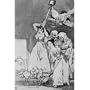 Francisco de Goya y Lucientes (Follow the "Caprichos," Sheet 20: Plucked dismisses it) Art Poster Print - 13x19