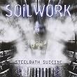 Steel Bath Suicide by Soilwork (2013-12-10)【並行輸入品】