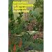 Native Plants for Southwestern Landscapes