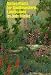 Prefers Full Sun: Good Books For Low Desert Gardening