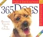 Dogs 2005 (Color Page a Day Calendars)