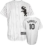 Alexei Ramirez Jersey: Youth 2010 Majestic Home Pinstripe Replica #10 Chicago White Sox Jersey