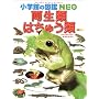 �����ށE�͂��イ�� (���w�ق̐}��NEO)