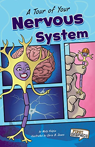 A Tour of Your Nervous System (First Graphics: Body Systems)