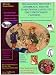 Books : The Adamson Brothers Conspiracy: The Invention of ' ' Lastex ' ' the First Stretchable Clothing