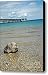 Mackinac Bridge Rocks Canvas Print / Canvas Art - Artist LeeAnn McLane-Goetz