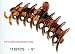 Brandon Hair Clips Original French Grabber Shell 5 #11827