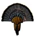 Sporting Goods : H.S. Strut Turkey Tail & Beard Mounting Kit