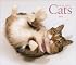 Cats, For the Love of 2008 Deluxe Wall Calendar