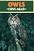 Owls (British Natural History)