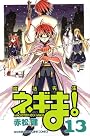 魔法先生ネギま! (13) (少年マガジンKC)