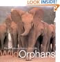 Wild Orphans