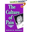 The Culture of Pain by David B. Morris