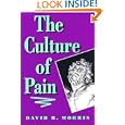 The Culture of Pain by David B. Morris