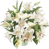 Flowerbud, Casablanca Lilies
