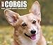 Just Corgis 2017 Box Calendar (Dog Breed Calendars)