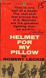 Helmet for My Pillow