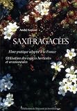Saxifragac�es : Flore pratique adapt�e � la France Utilisation des esp�ces horticoles et ornementales