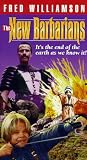 Warriors of the Wasteland [VHS]