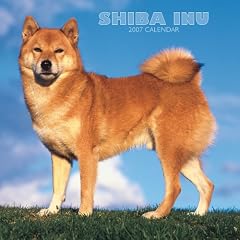 Shiba Inu 2007 Calendar