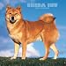 Shiba Inu 2007 Calendar