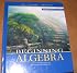 Beginning Algebra (Annotated Instructor's Edition)