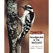 Donate A Love of Birding to a First Grade in Need