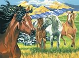  : Paint By Number - Wild Horses
