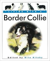 Living with a Border Collie
