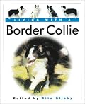 Living with a Border Collie