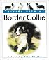 Living with a Border Collie