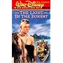 Light in the Forest [VHS]