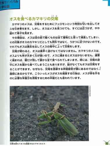 Cover image : 昆虫世界のサバイバル 3 (かがくるBOOK―科学漫画サバイバルシリーズ)