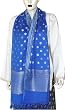 Chiffon Scarf Womens Silk Accessory 22 x 72 inches (srfch012)
