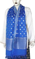 Chiffon Scarf Womens Silk Accessory 22 x 72 inches (srfch012)