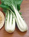 Pak Choi White Stem Cabbage Seeds - Brassica Oleracea Var. Capitata - 0.5 Grams - Approx 250 Gardening Seeds - Vegetable Garden Seed