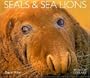 Seals and Sea Lions (Worldlife Library)