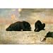 Albert Bierstadt Grizzly Bears ArtPoster - 11x17 custom fit with RichAndFramous Black 17 inch Poster Hangers