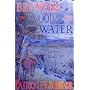 Between the Woods and the Water: On Foot to Constantinople from the Hook of Holland - The Middle Danube to the Iron Gates