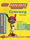 GCSE Bitesize - Welsh as a 2nd Language